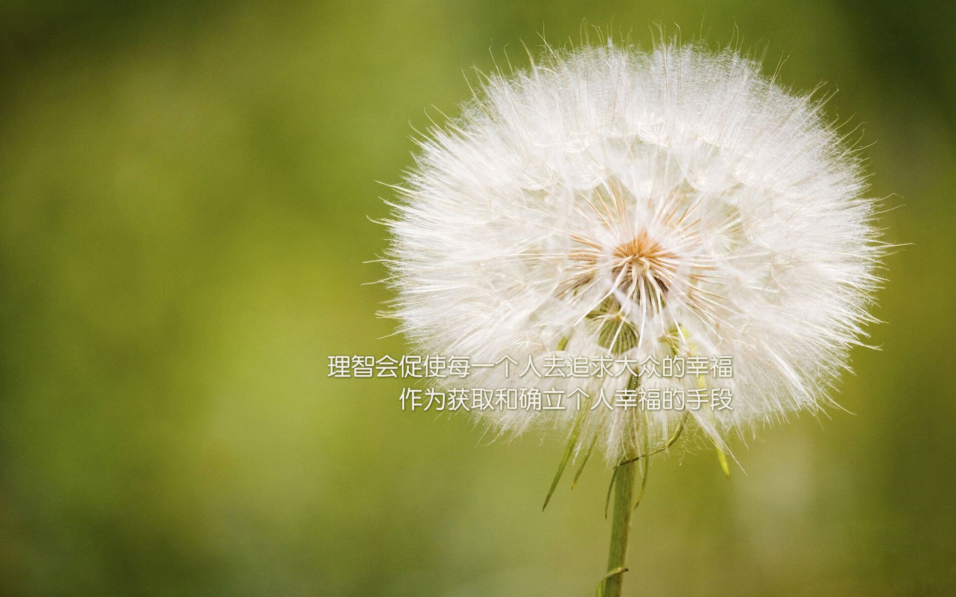 _网球运动普及：业余赛事火爆开启_，网球职业比赛