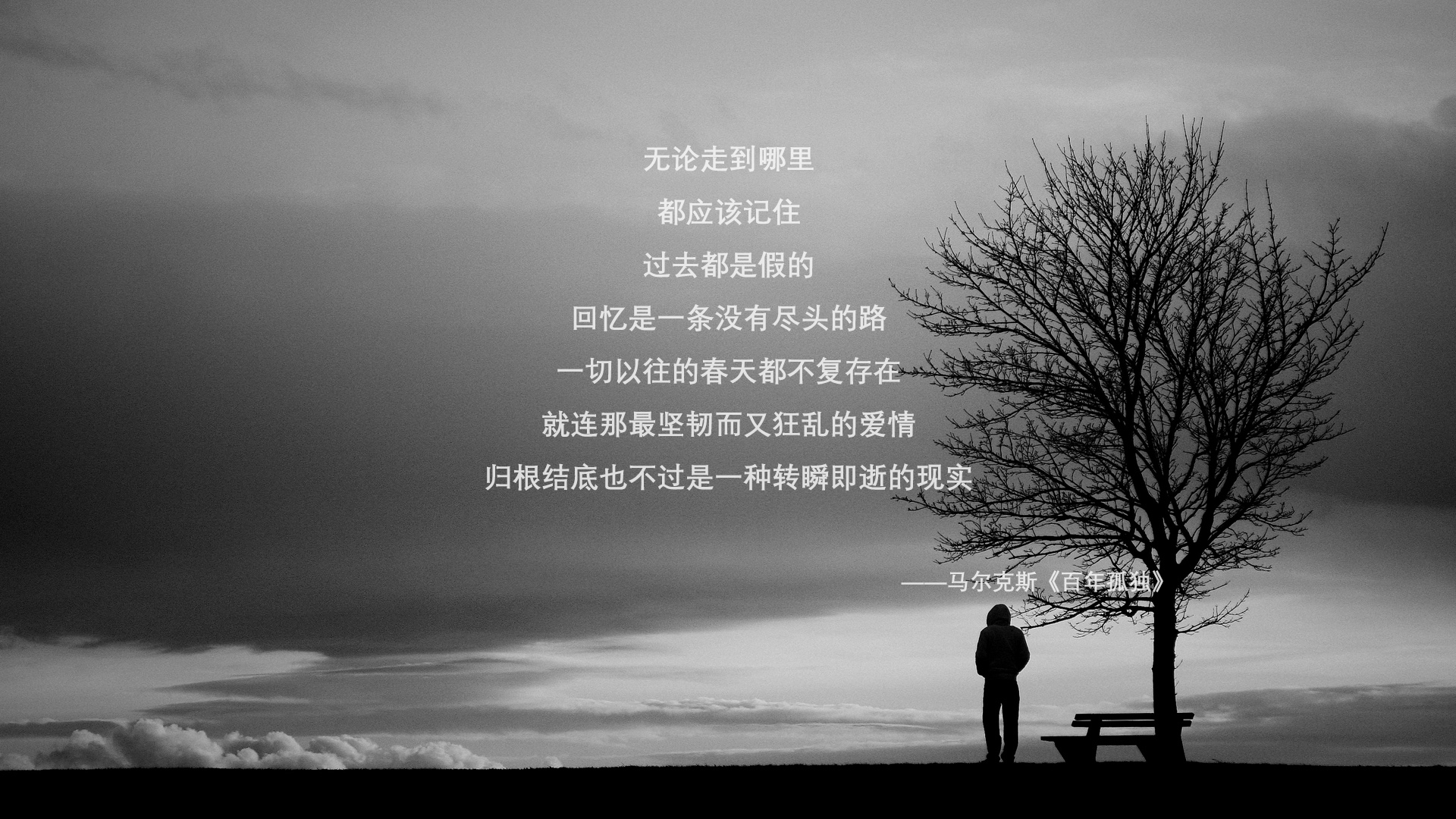 “最佳战术：教练的秘密武器揭晓”，最佳教练图片