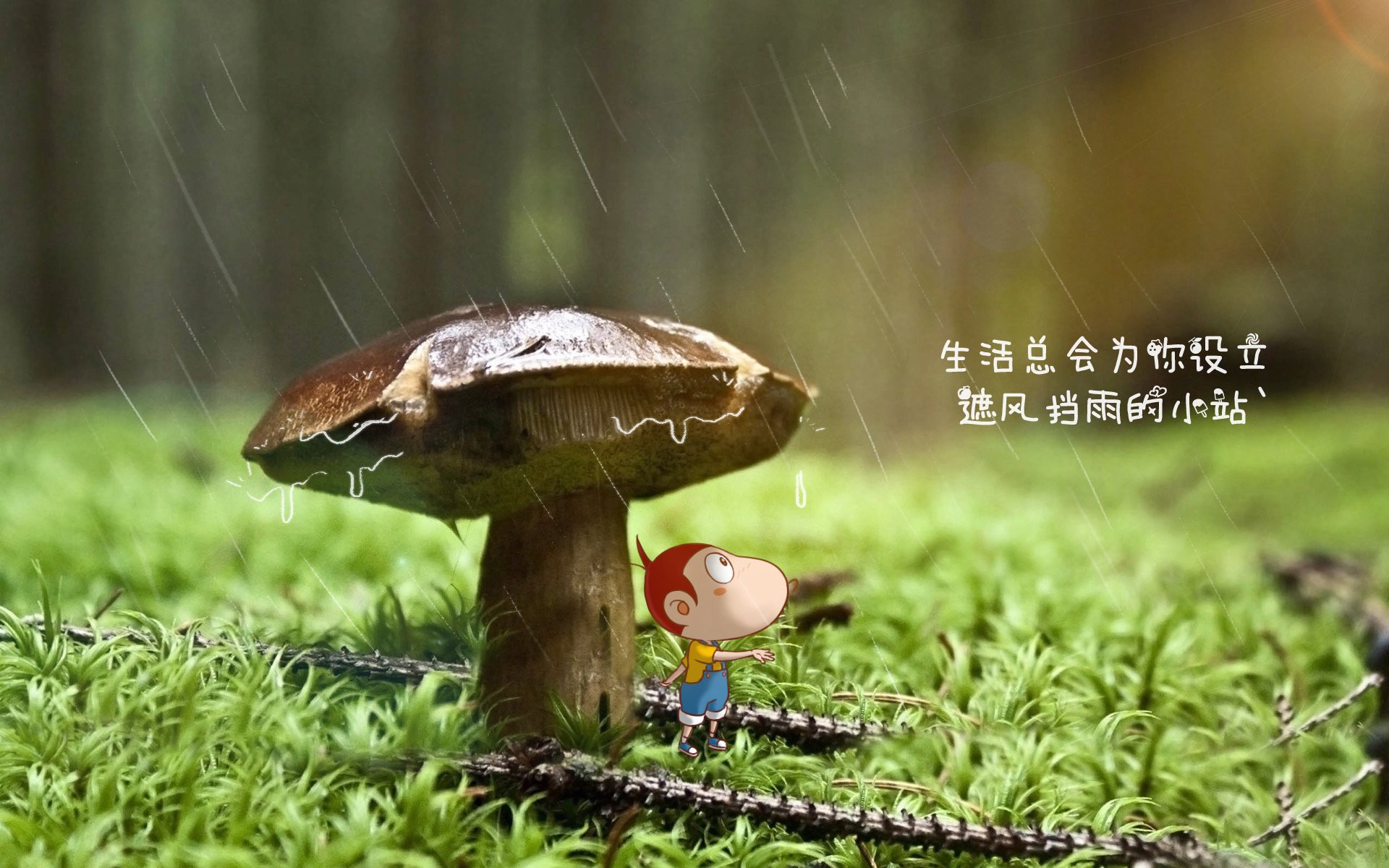 西甲球队采用焦点匹配系统优化局部空间压迫战术