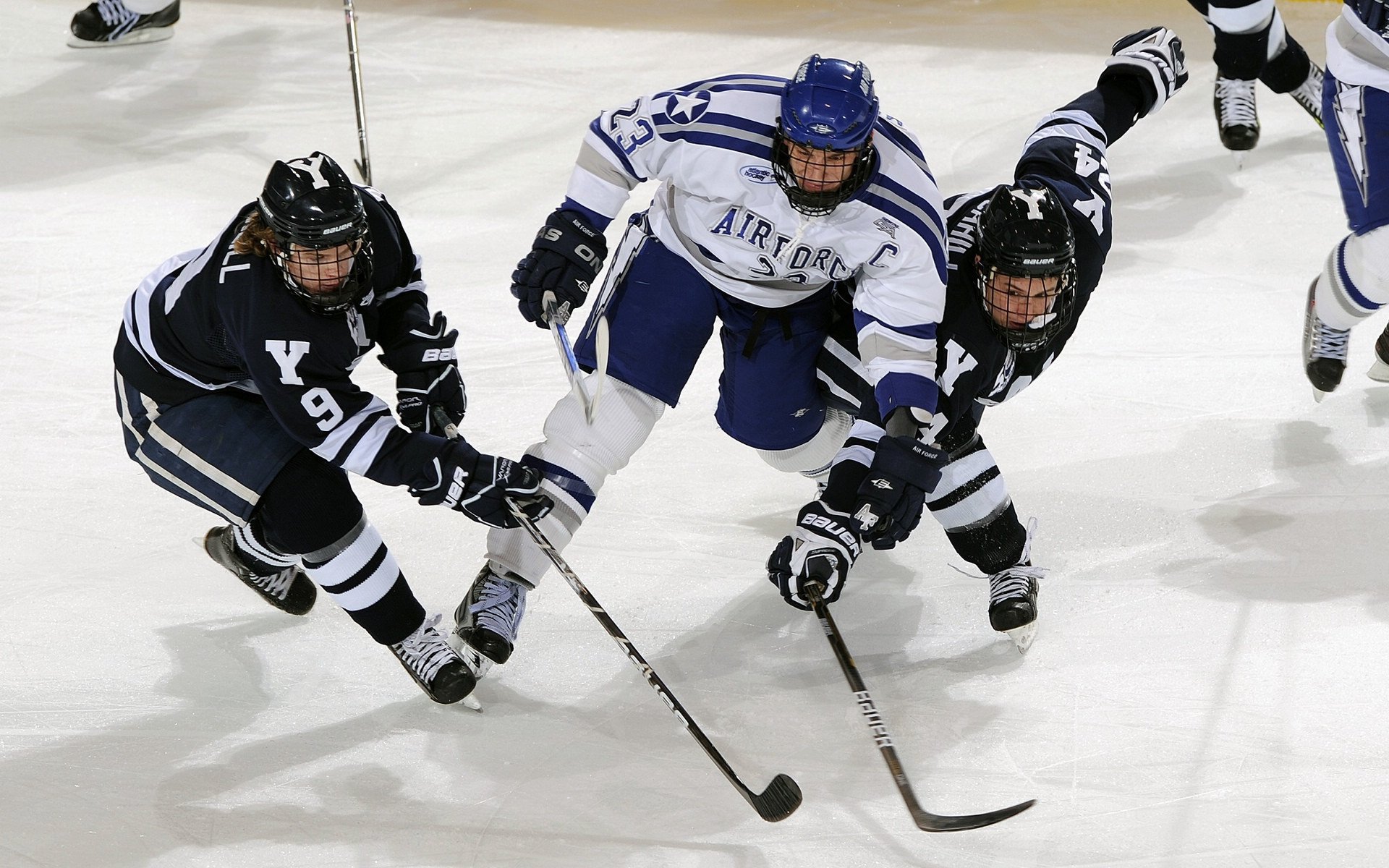 传统武术巡回表演，古老技艺展现新时代精神，武术演出