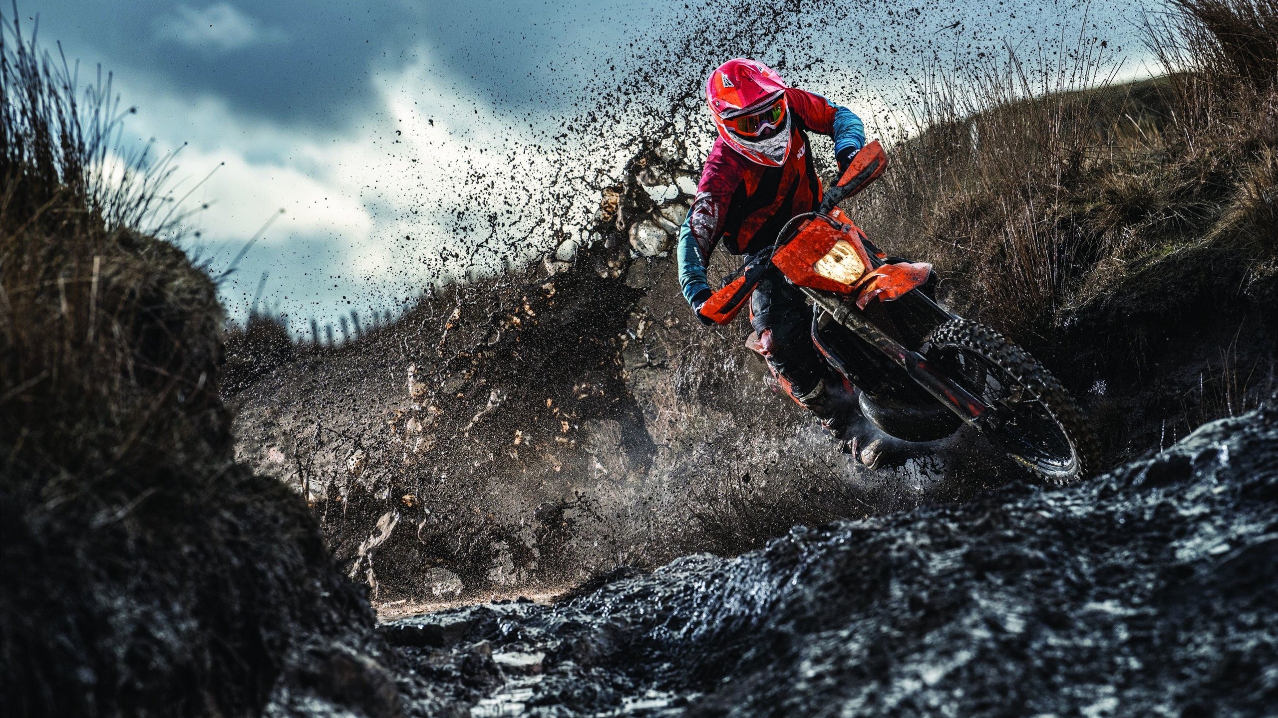 今年联盟最具潜力的新秀，谁最有可能夺得年度MVP？，lol最佳新秀