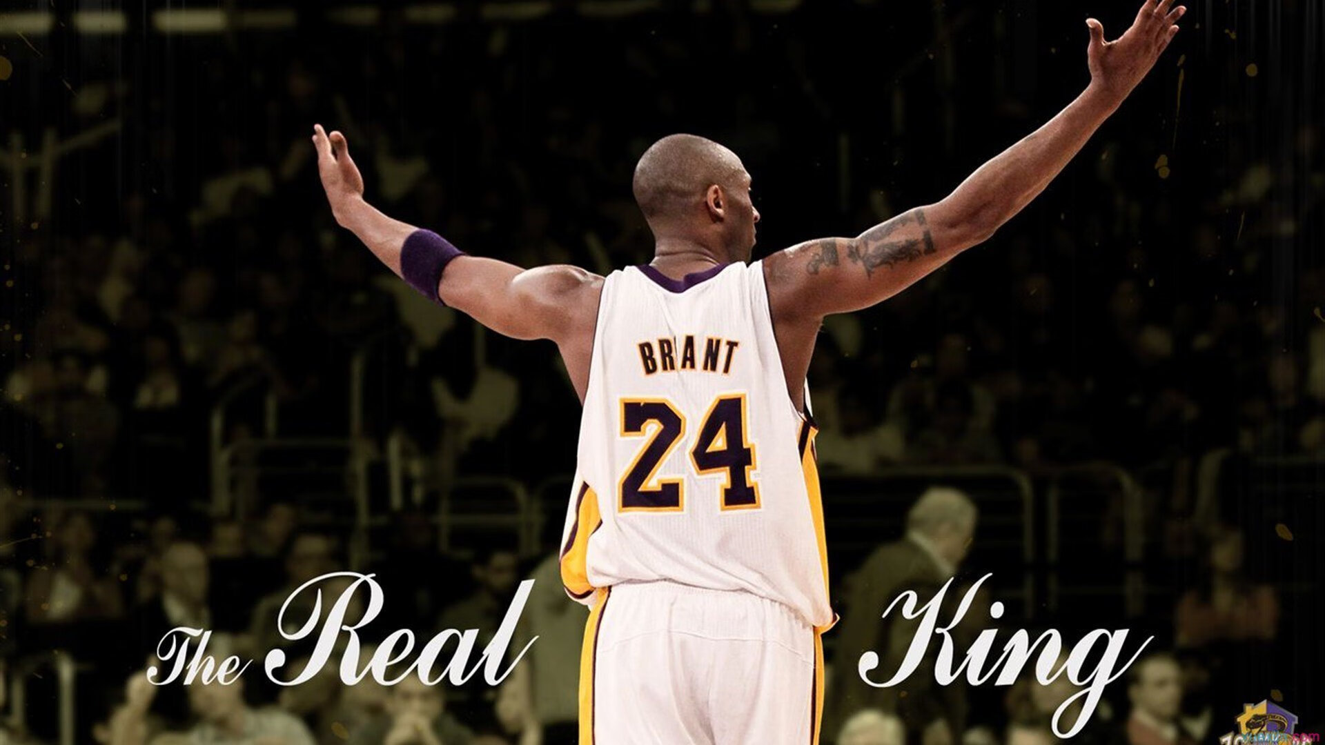 夺冠热点盘点：东部与西部谁更具优势？，东部和西部是什么意思